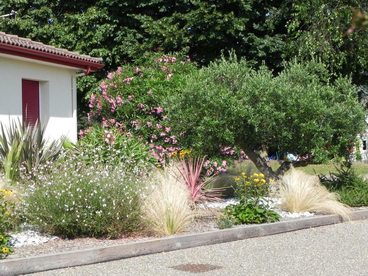 La Cle De Vos Reves Bed and Breakfast Orthevielle Buitenkant foto